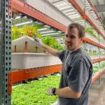 Inside the hydroponic facility John Krapek lifts a floating tray of Rainbow Chard to show the roots dangling into the deep water culture design which provides nutrients to the plants. (Laurie Craig / Juneau Empire)
