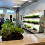 Juneau Greens owner John Krapek prepares a box of fresh greens for a subscriber while Amy White serves customers at the other end of the long counter at the new hydroponic farm that opened in November at 7820 Honsinger Drive. (Laurie Craig / Juneau Empire)