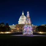 The U.S. Capitol Christmas Tree following a lighting ceremony Tuesday night in Washington, D.C. (Architect of the Capitol photo)