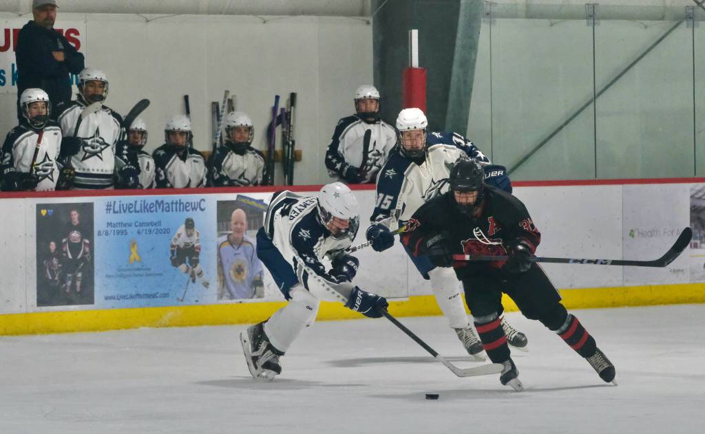 Juneau-Douglas High School: Yadaa.at Kalé senior Emilio Holbrook steals a puck in front of the Soldotna bench during the Crimson Bears 2-0 win over the Stars on Saturday at Treadwell Ice Arena. (Klas Stolpe / Juneau Empire)