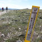Hikers traverse the Steese National Conservation Area in summer 2024. The conservation area was established in 1980 as part of the Alaska National Interest Lands Conservation Act. (Photo by Ned Rozell)
