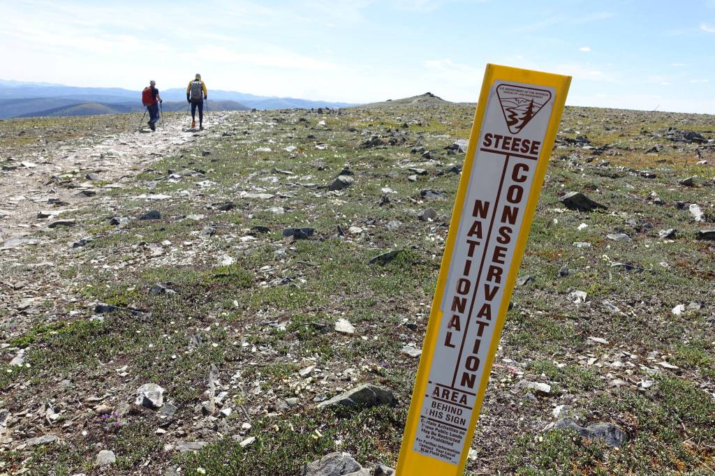 Hikers traverse the Steese National Conservation Area in summer 2024. The conservation area was established in 1980 as part of the Alaska National Interest Lands Conservation Act. (Photo by Ned Rozell)