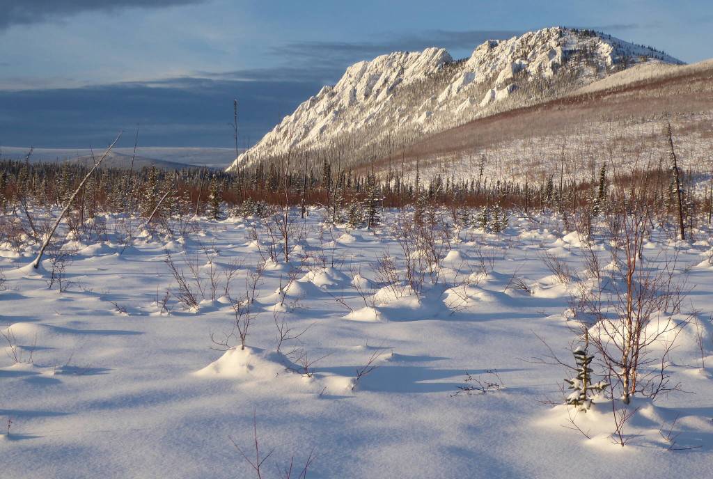 A rock formation rises within the White Mountains National Recreation Area north of Fairbanks. The recreation area was established in 1980 as part of the Alaska National Interest Lands Conservation Act. (Photo by Ned Rozell)