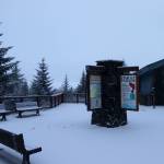 The pavilion at the Mendenhall Glacier Visitor Center, seen Wednesday, is the proposed site for a new set of up to five totem poles carved by local tribal artists. (Mark Sabbatini / Juneau Empire)