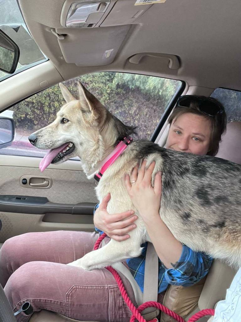 Skylar Bayer holds Pepper on their way to Juneau. (Photo courtesy of Skylar Bayer)
