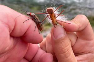 The authors hopper and stonefly tying days are behind him. (Photo by Jeff Lund)