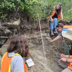 Jessica Larsen, sitting, overlooks a group of students collecting White River ash from a roadside outcrop east of Koidern in the Yukon on July 21, 2024. The ash is from an eruption of Alaskas Mount Churchill about 1,200 years ago. (Photo by Florian Hofmann)