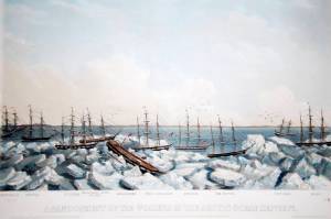 This painting, Abandonment of the Whalers in The Arctic Ocean September 1871, depicts the New England whaling ships trapped in pack ice off northern Alaska. Wainwright Inlet is in the background. (Photo courtesy Ted and Ellie Congdon, Huntington Library)