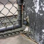 Aging concrete is difficult to clean and is chipping away in the dog kennels at Juneau Animal Rescue. (Jasz Garrett / Juneau Empire)