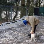 A shelter staff member takes a dog who is currently boarding at Juneau Animal Rescue outside on Feb. 13, 2025. The animal shelter needs more space both outside and in, according to the executive director. It could also use a guillotine door to allow dogs easier access to the outdoors. (Jasz Garrett / Juneau Empire)