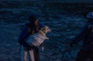 Jonathan Rasch skates back to shore with his dog after spending hours looking for a man who fell through the ice on Friday, Feb. 7, 2025, on Chilkoot Lake near Haines. Rasch was skating on the lake when he heard the man screaming for help and used his Garmin inReach to call for help. (Rashah McChesney/Chilkat Valley News)