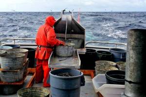 A worker aboard a commercial fishing vessel. (Photo provided by NOAA Fisheries)