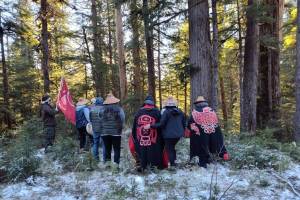 The Craig Tribal Association visits the Tongass National Forest to harvest a cultural tree in April of 2024. (U.S. Forest Service photo)