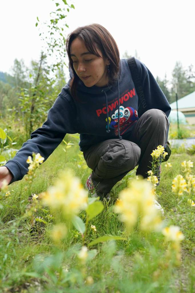 Clara Mooney, the author, explores the Klukwan community garden during her community visit with Hotch. (Photo by Shaelene Grace Moler)