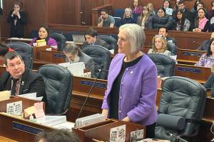 Rep. Rebecca Himschoot (I-Sitka) offers an overview of House Bill 69 during Wednesdays floor session. (Mark Sabbatini / Juneau Empire)