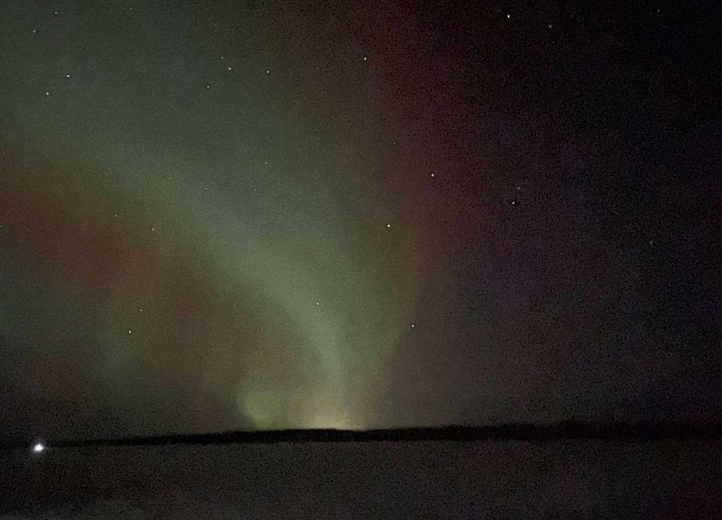 A lone Iditarod mushers headlamp appears on the frozen Tanana River near Tolovana Roadhouse early in the morning hours of March 5, 2025. (Photo by Ned Rozell)