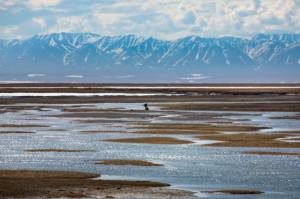 Research biologists pause among the wetlands of the Arctic National Wildlife Refuge coastal plain, with the Brooks Range in the background. The Trump administration is taking steps to offer the entire coastal plain for oil and gas leasing, Interior Secretary Doug Burgum said on Thursday. (Lisa Hupp/USFWS)