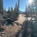 Peter Delamere took this photo of snowless ground he biked over north of Anchorage during his trip from Knik to Nome. (Photo by Peter Delamere)