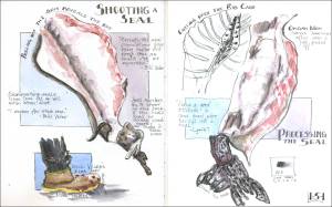 (Illustration by Stephanie Harold)