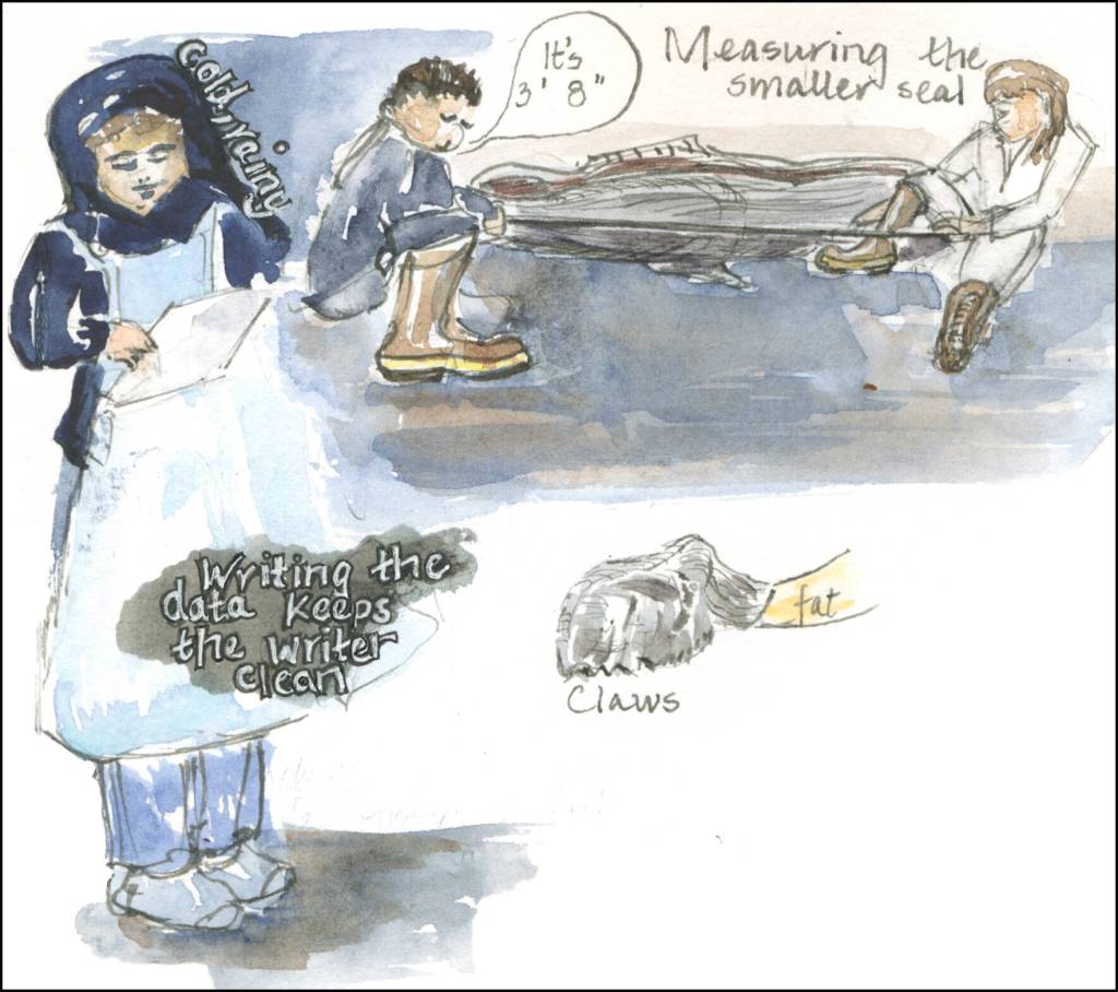 (Illustration by Stephanie Harold)