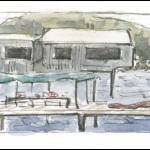 (Illustration by Stephanie Harold)