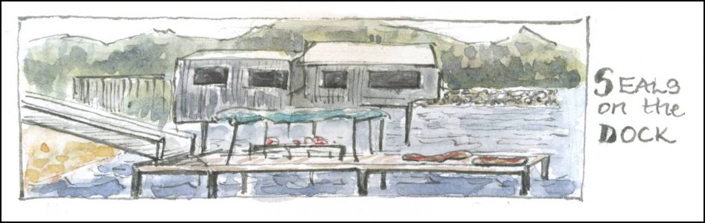 (Illustration by Stephanie Harold)