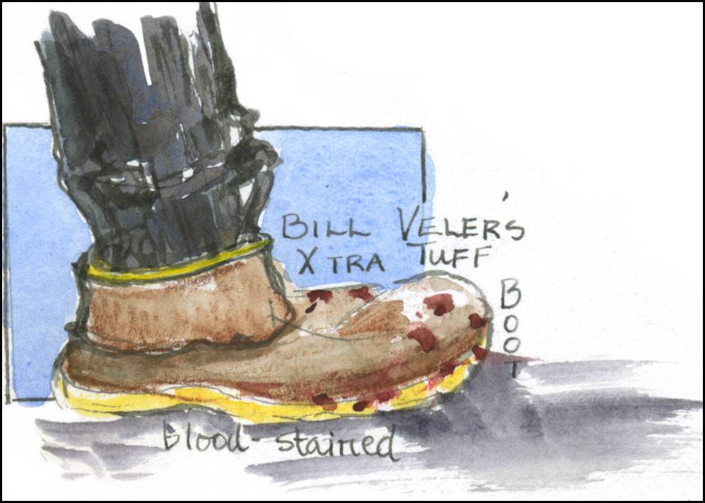 (Illustration by Stephanie Harold)