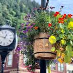 Flowers from the citys Adopt-A-Flower program hang downtown. (City and Borough of Juneau photo)