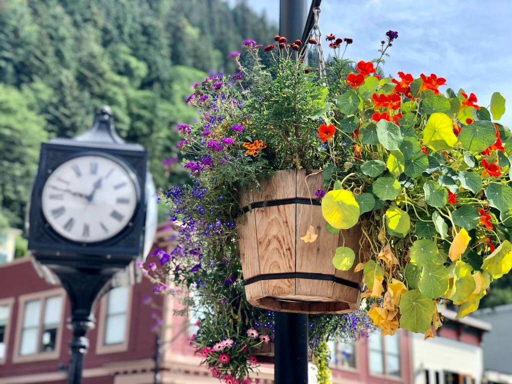 Flowers from the citys Adopt-A-Flower program hang downtown. (City and Borough of Juneau photo)