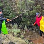 Tina Martin, left and her daughter, Isabelle, 17, clean trash from a stream along Back Loop Road on Saturday. (Mark Sabbatini / Juneau Empire)