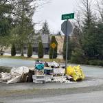 Items collected during an annual community cleanup await pickup along Mendenhall Loop Road on Saturday morning. (Mark Sabbatini / Juneau Empire)