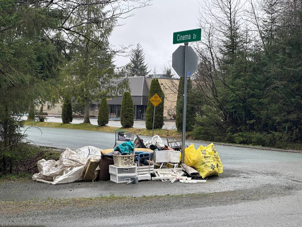 Items collected during an annual community cleanup await pickup along Mendenhall Loop Road on Saturday morning. (Mark Sabbatini / Juneau Empire)
