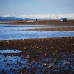 Shaelene Grace Moler documents a clam garden project in the Organized Village of Kake as a Sustainable Southeast Partnership storyteller. (Photo by Bethany Goodrich)
