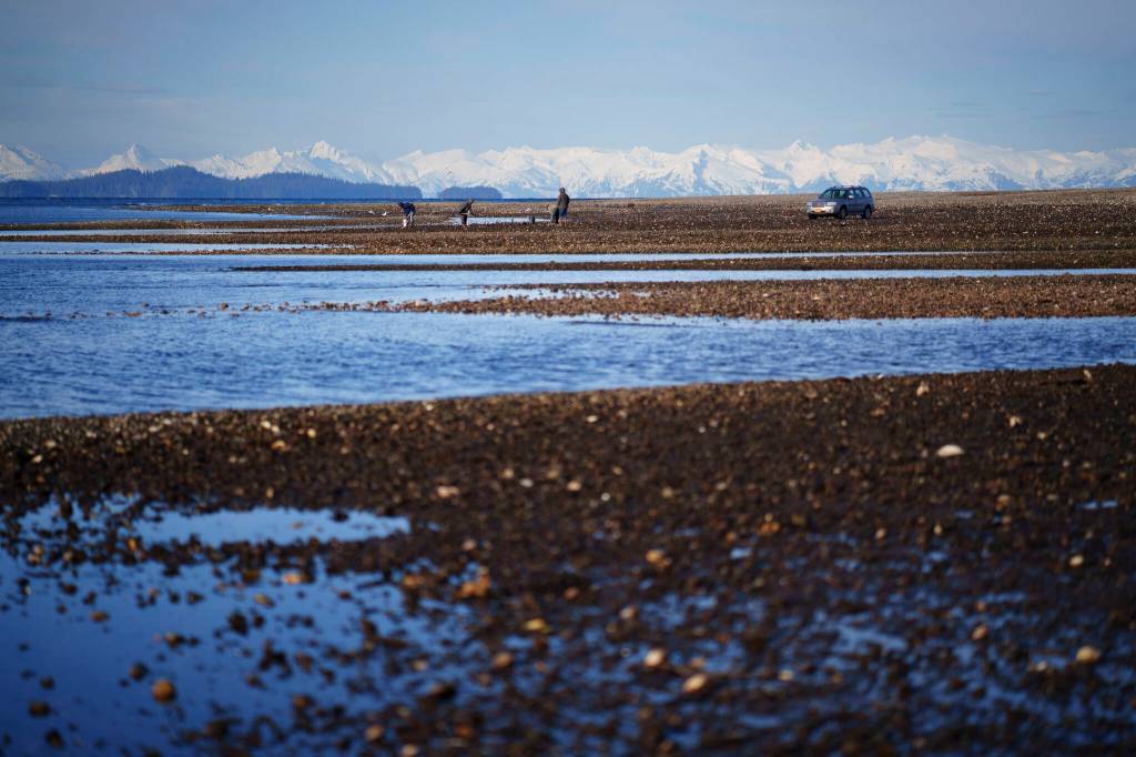 Shaelene Grace Moler documents a clam garden project in the Organized Village of Kake as a Sustainable Southeast Partnership storyteller. (Photo by Bethany Goodrich)