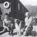 First visitor center director KJ Metcalf with Lassie and Jack Culbreath, U.S. Forest Service Director of Public Information and Education, during four episodes of TV filming in 1968. (U.S. Forest Service photo)