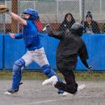 Petersburg sophomore catcher Tanner Caulum attempts to tag out a Juneau-Douglas High School: Yadaa.at Kalé runner at home during the Vikings 12-7 loss to the visiting Crimson Bears on Friday at Mort Fryer Ball Park. (Klas Stolpe / Juneau Empire)