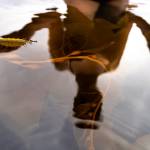 A reflection of a cold-water dip in Sitka Sound. (Photo by Bethany Goodrich)