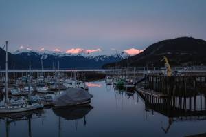 Fishing and other vessels docked in Haines. (Will Steinfeld/Chilkat Valley News)