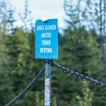 Chains and signs protect the Arctic tern nesting site at the Mendenhall Glacier Recreation Area on Thursday, May 23, 2025. (Jasz Garrett / Juneau Empire)