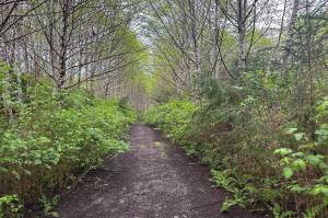 With graduation looming, life as a trail is a popular analogy, though the author prefers a menu metaphor. (Photo by Jeff Lund)