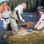 Chris Sergeant (center) and Brittany Milner (right) check on a temperature logger in the Tatsatua River. The Tatsatua, high in the Taku River watershed, is a prolific king salmon spawning area. Rodger Thorlakson (left), the Taku River Tlingit First Nations lands and resources manager, observes. (Max Graham/Grist)