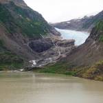 The retreat of the Bear Glacier, near Stewart, British Columbia, transformed a stream below it into a haven for salmon. (Max Graham/Grist)