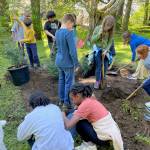 A group of fourth-grade Harborview Elementary School students share the digging and planting task at Juneaus newest accredited arboretum on Arbor Day, celebrated Monday, May 19, 2025. (Laurie Craig / For the Juneau Empire)