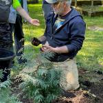 Ben Patterson, Parks and Recreation Department landscape supervisor and arborist for the City and Borough of Juneau, helps students plant young cedar trees at Evergreen Cemetery on Monday, May 19, 2025. A student shows two spruce tips in his open palm to Patterson. (Laurie Craig / For the Juneau Empire)