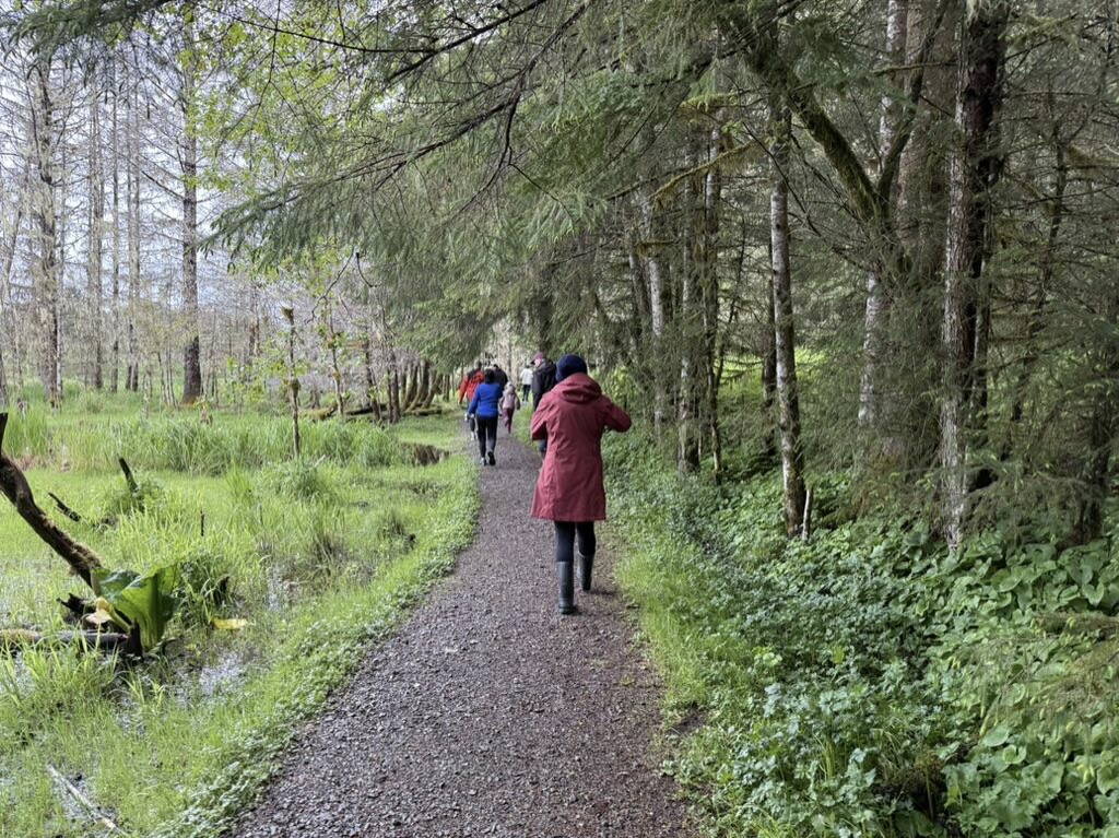 Participants make their way through a wooded section of trail before hitting the wetlands at the 2025 Spring Tide Scramble on Saturday, May 31, 2025. (Ellie Ruel / Juneau Empire)