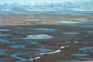 A few snow drifts remain on June 18, 2004, on the Arctic coastal plain of the National Petroleum Reserve in Alaska. (Craig McCaa/U.S. Bureau of Land Management)