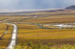 Along the trans-Alaska oil pipeline, pictured here, runs a smaller-diameter natural gas line used to fuel the oil pipelines pumps. That small-diameter line could be a source of fuel for a new Bitcoin mining operation on the North Slope. (Arthur T. LaBar/Flickr under Creative Commons License)