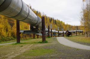 The trans-Alaska pipeline is seen on Sept. 19, 2022, in Fairbanks. (Yereth Rosen/Alaska Beacon)