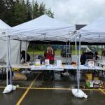 Loren Jones, a Red Cross volunteer, at his booth where he handed out flyers and Girl Scout Cookies at the sandbag pickup/open house event on Saturday, June 7, 2025, at Thunder Mountain Middle School. (Ellie Ruel / Juneau Empire)