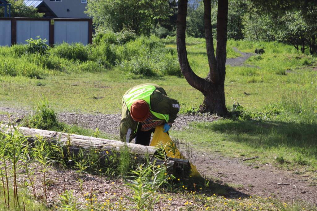 Ari Waters grabs a piece of trash from behind a log on Teal Street at JAMHIs Community Litter Pickup event on Saturday, June 14, 2025. (Ellie Ruel / Juneau Empire)